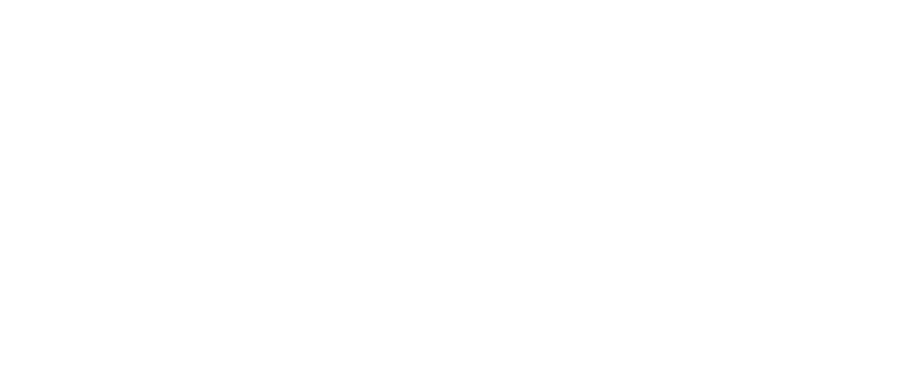 Mobile Touch Co.